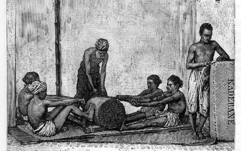 Historical engraving of Ceylon cinnamon peelers preparing bark and packing bales for the overseas spice trade